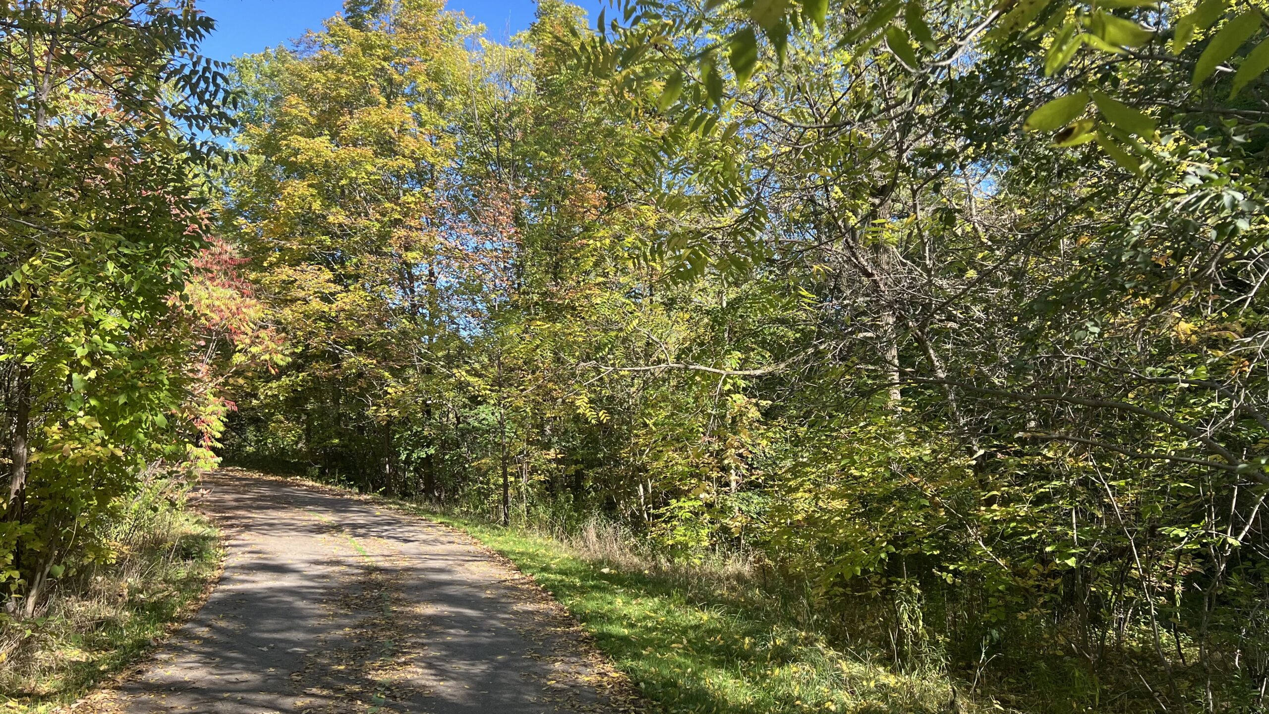 秋めくトロントの森散策