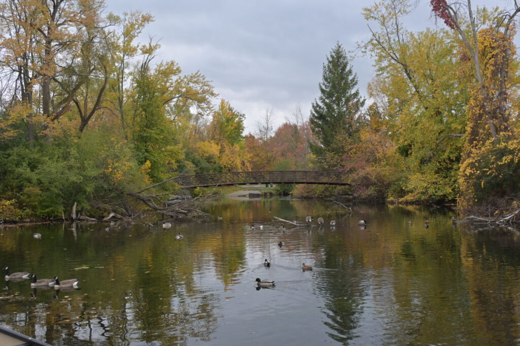遊歩道にかかる橋を桟橋から見た様子